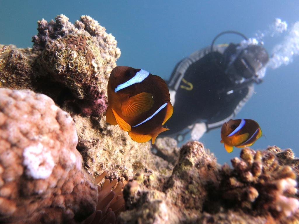 Bait Alaqaba Resort Dış mekan fotoğraf
