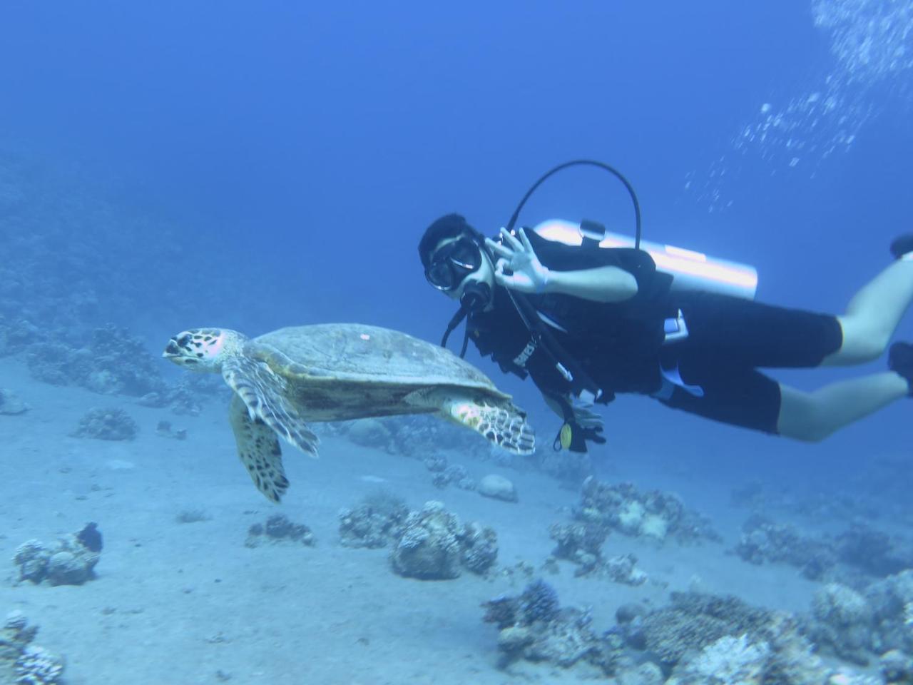 Bait Alaqaba Resort Dış mekan fotoğraf