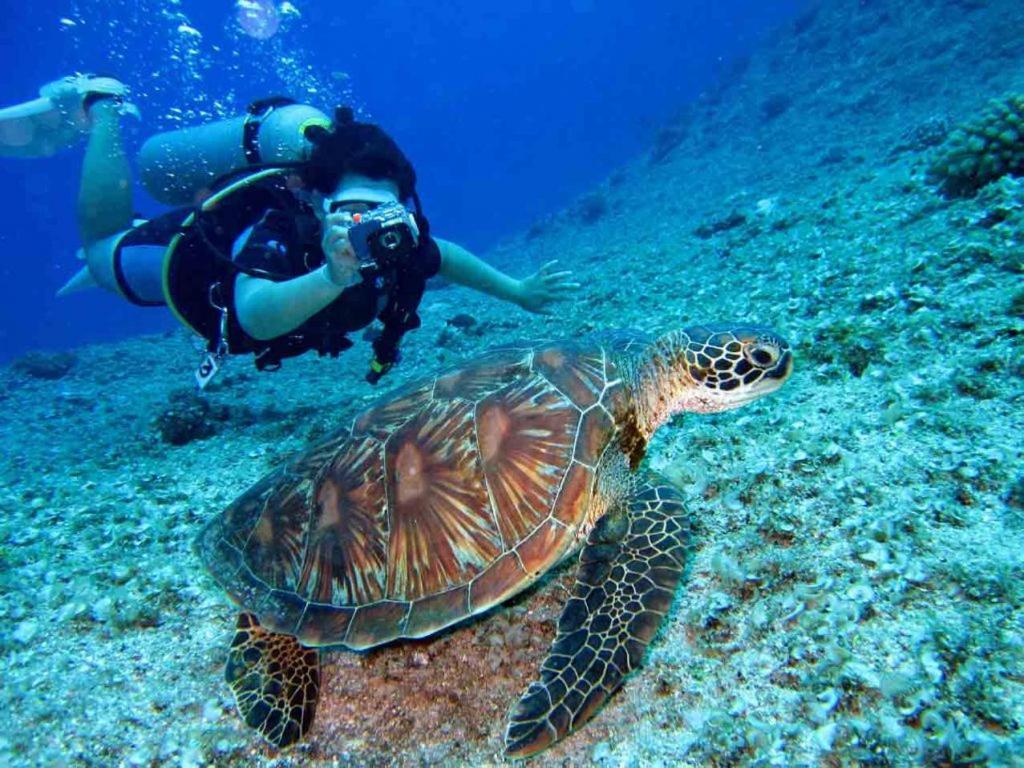 Bait Alaqaba Resort Dış mekan fotoğraf